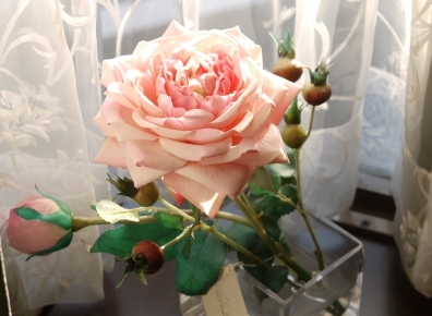 �����݂̂̕�W�ł�